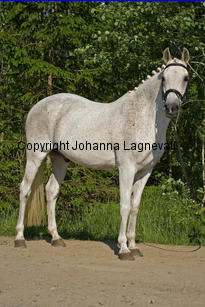 lordwhitney_7509-2.jpg