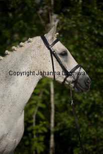 lordwhitney_7513-2.jpg