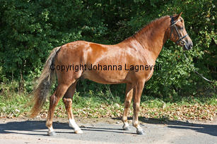bcapriole_6154-2.jpg