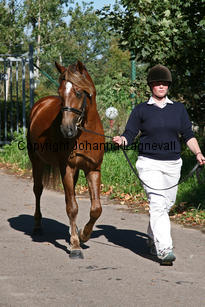 bcapriole_6155-2.jpg