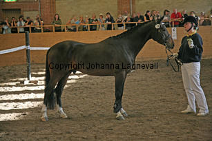 fenhe_6289-2.jpg