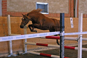 lyckasstarlet_6270-2.jpg