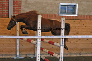 lyckasstarlet_6271-2.jpg