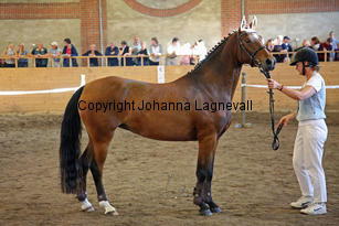 powerngrace_6294-2.jpg