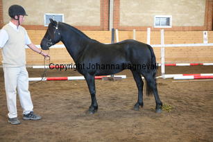 starrhultbingo_6250.jpg