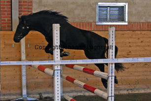 starrhultbingo_6256-2.jpg