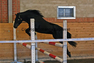 starrhultbingo_6257-2.jpg