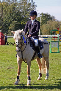sorbysuyellow_6208-2.jpg