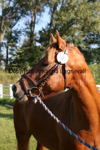 benjamin_6333.jpg