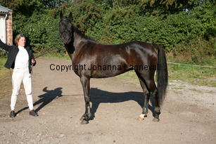 firefly_6335.jpg