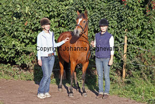 tomacsnova_6302-2.jpg