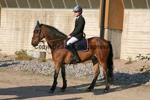 hembysparsifal_6524-2.jpg