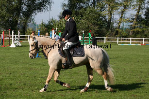 sorbysuyellow_6476-2.jpg