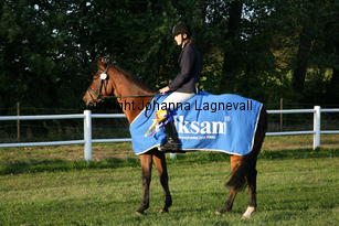 sunnygirl_6617.jpg