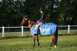 sunnygirl_6622.jpg