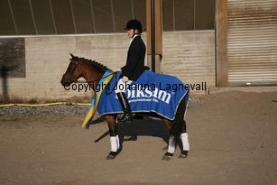 sergeantspepper_6529.jpg