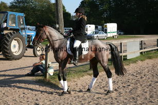 verdi_6520.jpg