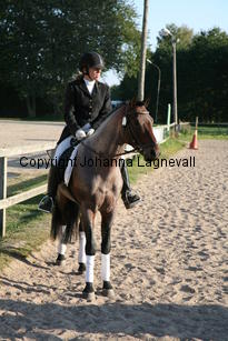 verdi_6532.jpg