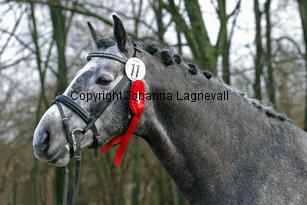 bocaccioarden_4829-2.jpg