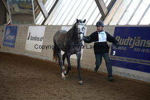 bocaccioarden_8387.jpg
