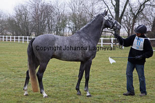 bocaccioarden_8390-2.jpg