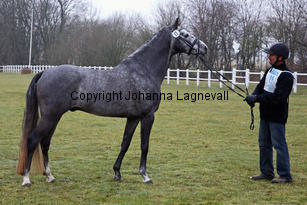 bocaccioarden_8391.jpg