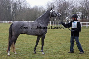bocaccioarden_8392.jpg