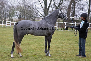 bocaccioarden_8394-2.jpg