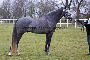 bocaccioarden_8398.jpg