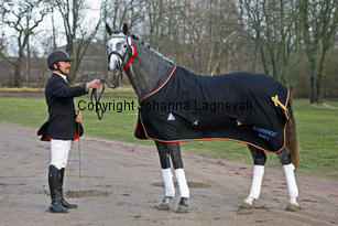 bocaccioarden_8902.jpg