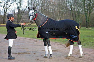 bocaccioarden_8904-2.jpg