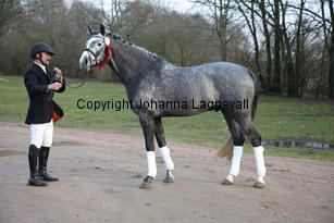 bocaccioarden_8916.jpg