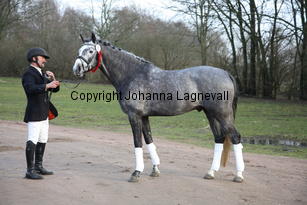 bocaccioarden_8917.jpg
