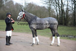 bocaccioarden_8918.jpg
