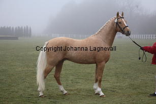 bodethalsdancerhit_8328.jpg