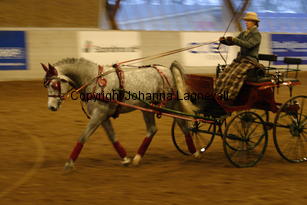 bodethalsnotrepetit_4785.jpg
