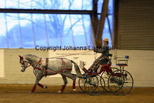 bodethalsnotrepetit_8649-2.jpg