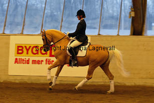 jarno_8618-2.jpg