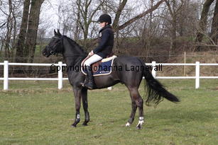 magicdancerh_4790.jpg