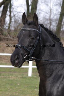 magicdancerh_4799.jpg