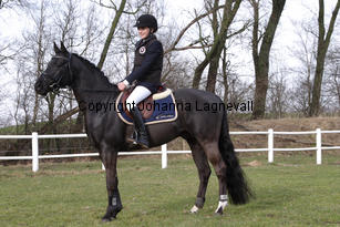 magicdancerh_4803-2.jpg