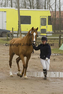 miljard_8275-2.jpg