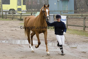miljard_8277-2.jpg