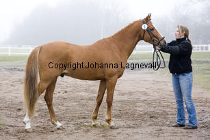 miljard_8322-2.jpg