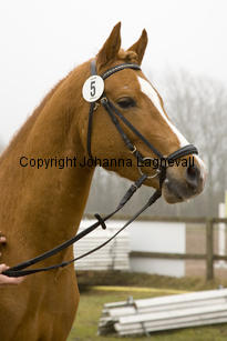 miljard_8326-2.jpg