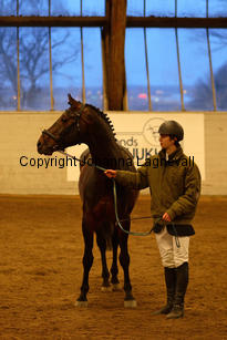 minotauros_8716-2.jpg