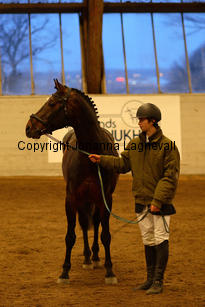 minotauros_8717-2.jpg