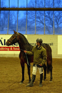 minotauros_8728-2.jpg
