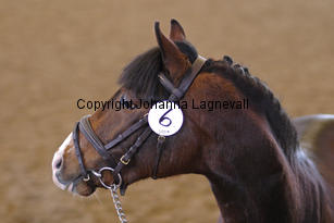 monty_4651-2.jpg