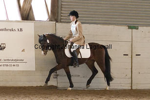monty_4684-2.jpg